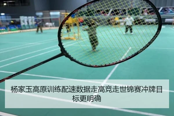 杨家玉高原训练配速数据走高竞走世锦赛冲牌目标更明确